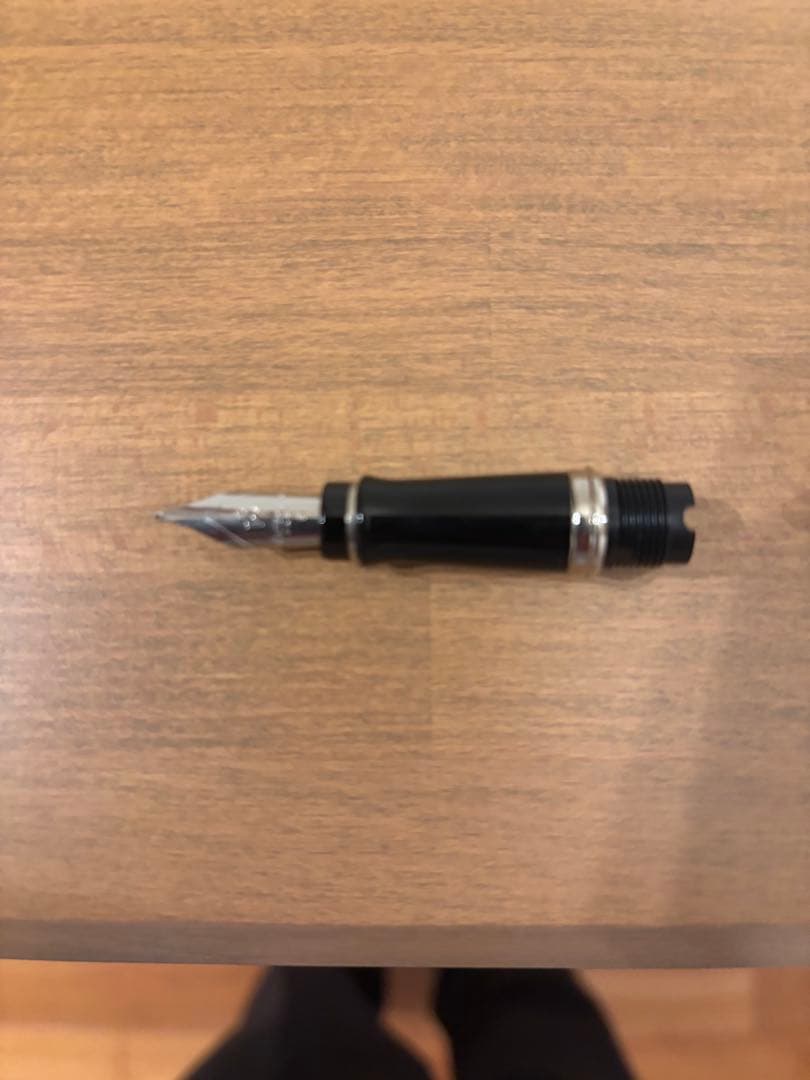 期間限定　WATERMAN ウォーターマン エキスパート デラックス 万年筆