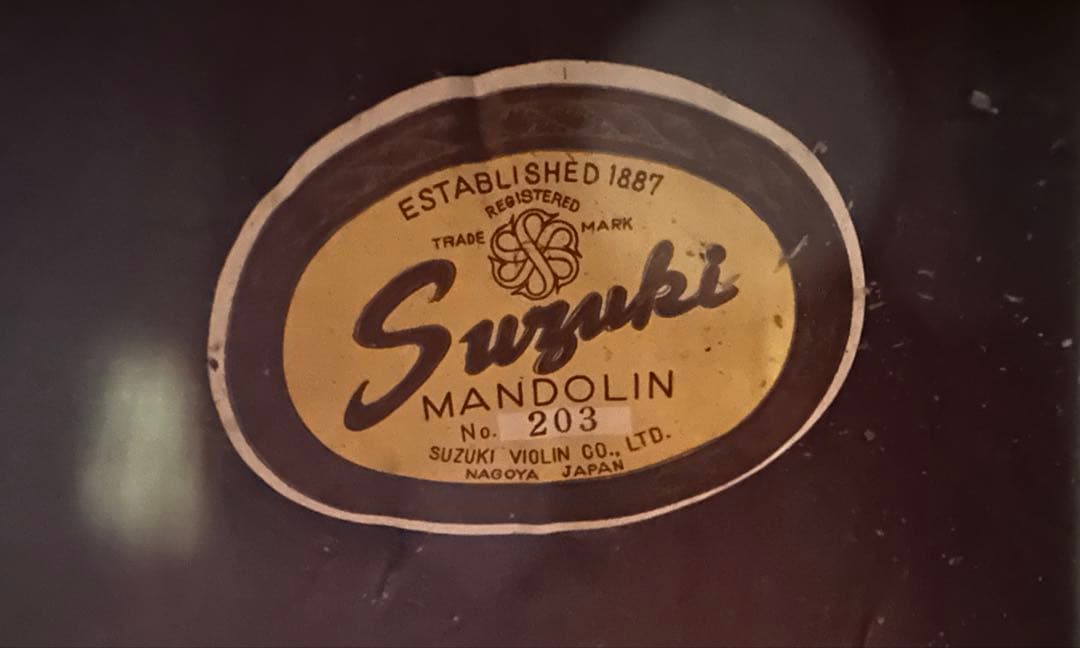 鈴木バイオリン マンドリン　Suzuki Mandolin 203 ケース付き