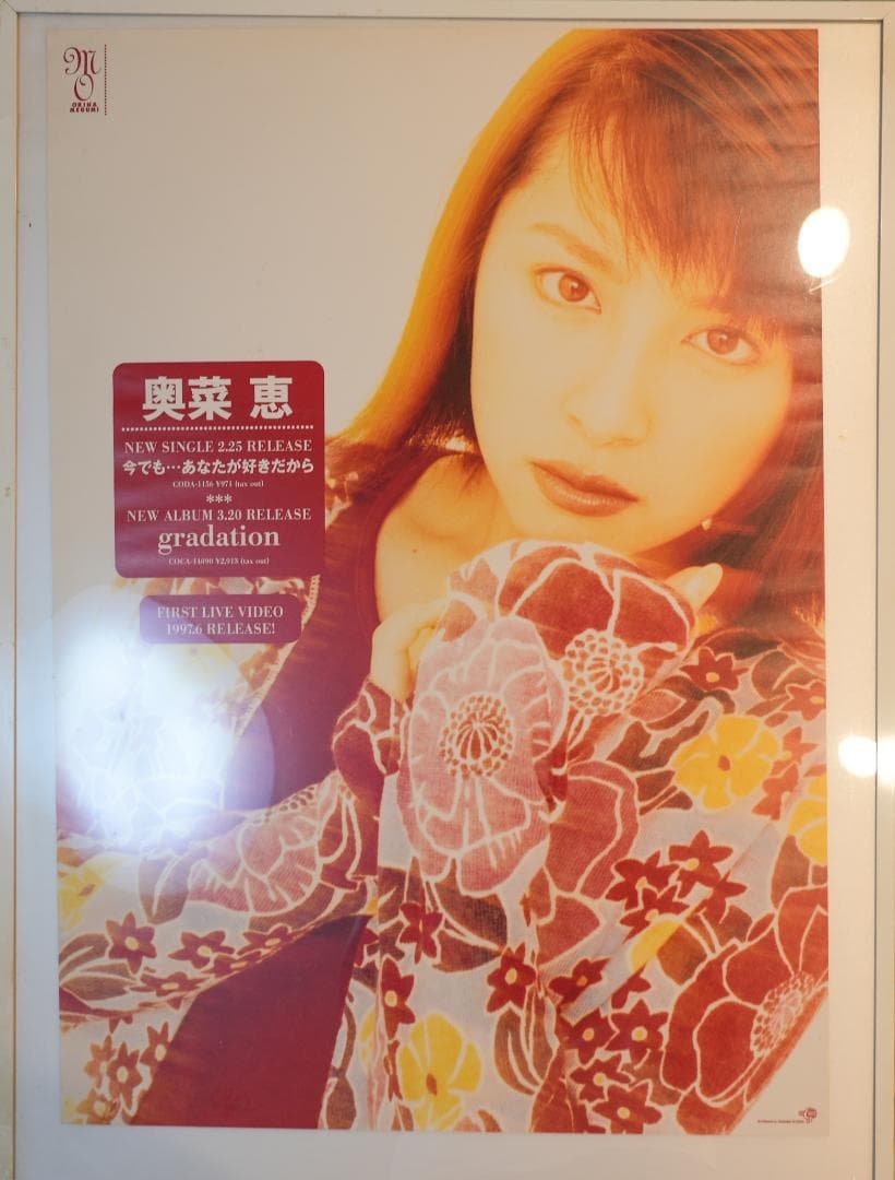 奥菜恵 gradation ポスター
