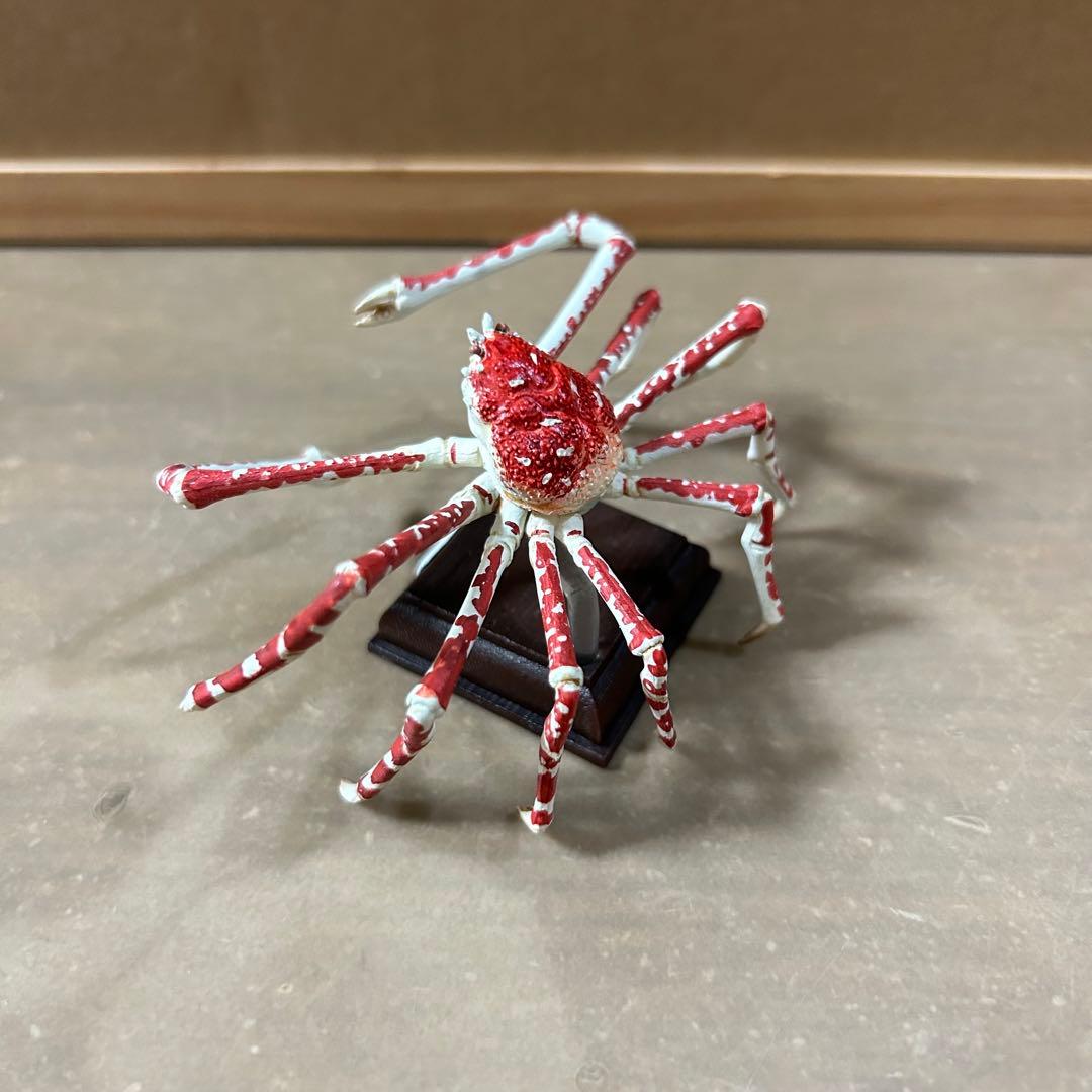 海遊館ミュージアム フィギュア まとめ売り ネイチャーテクニカラー 海洋堂 奇譚