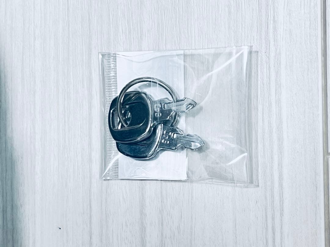 【美品】廃盤　Canon レンズケース500B グレー　EF500mm用