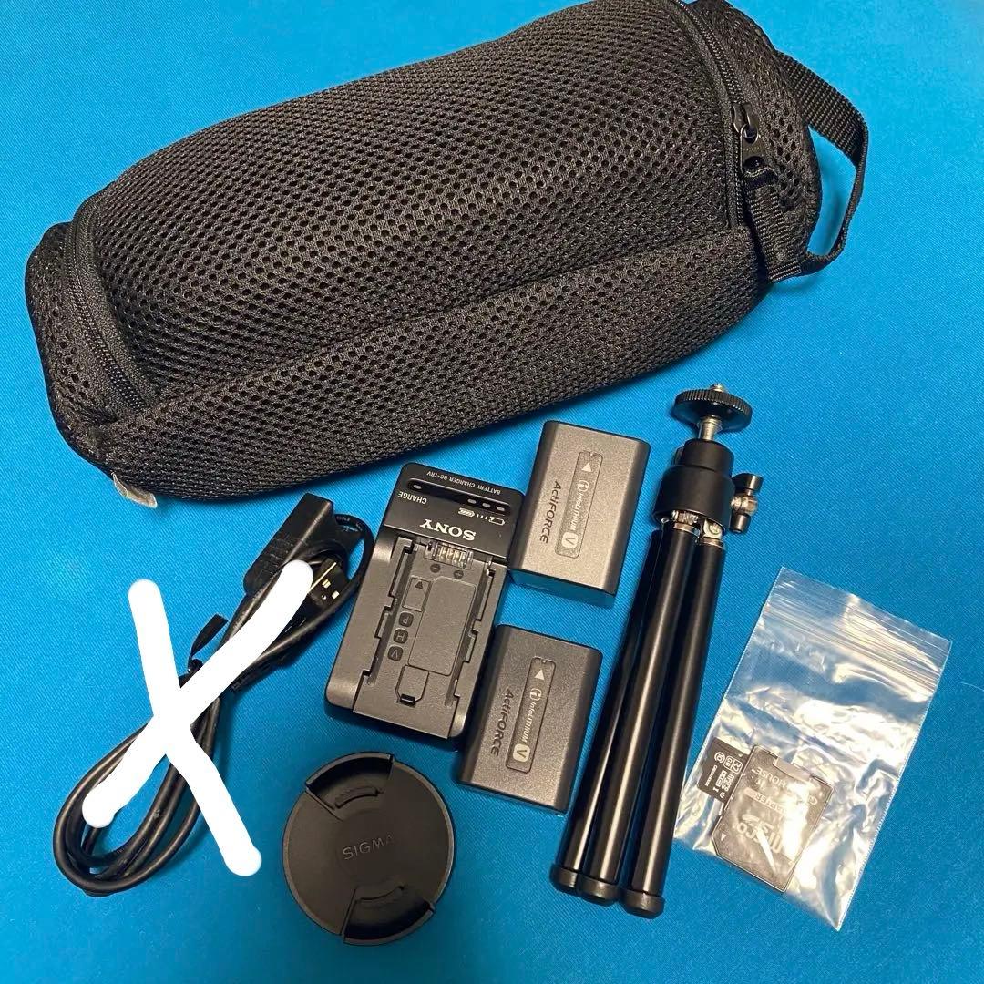 【付属品多数】Sony HDR-CX680 HDビデオカメラ　レッド