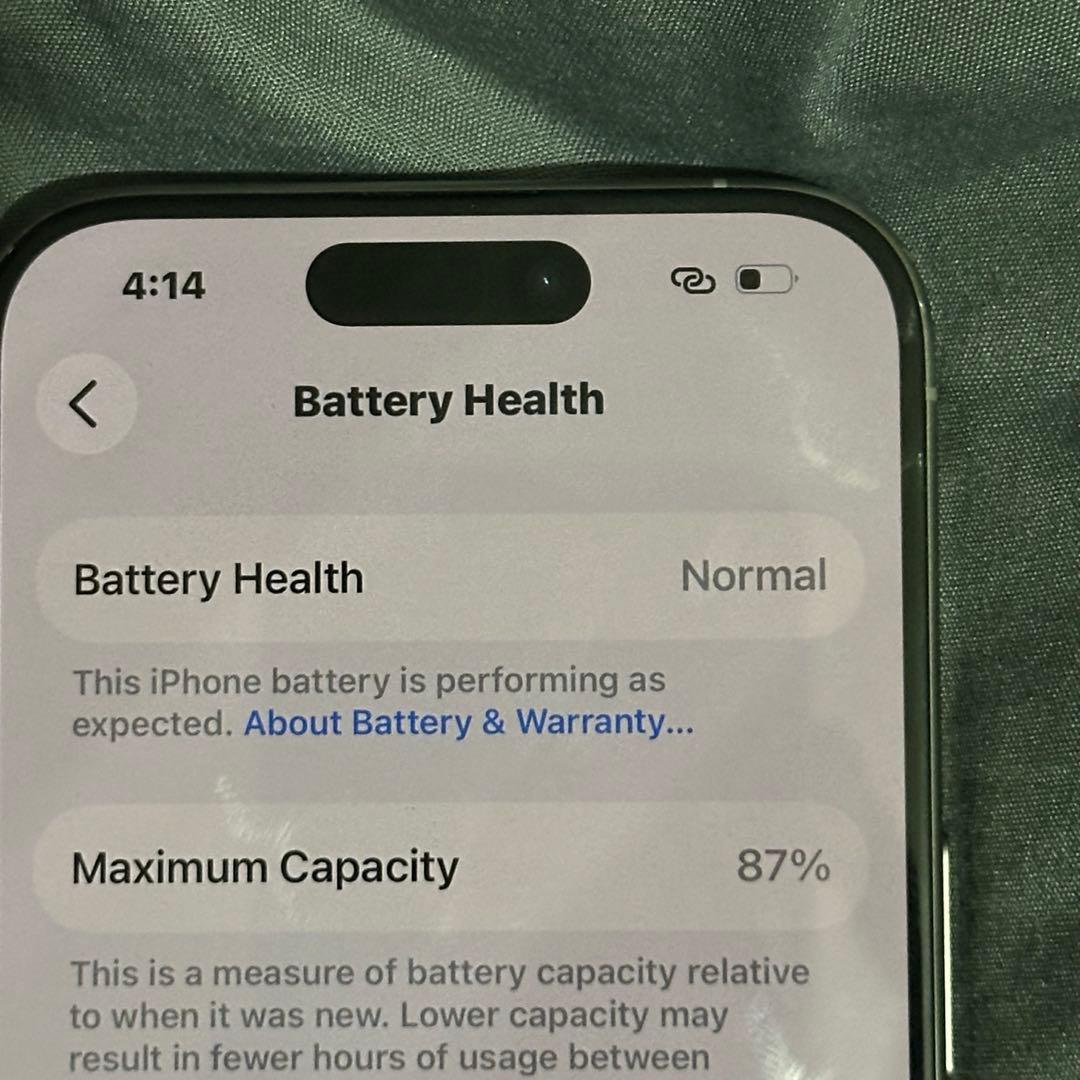 Apple iPhone 15 Pro 256gb シャッター音なし