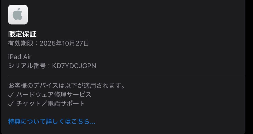 【美品】iPad Air 第5世代 Wi-Fi+Cellular 256GB