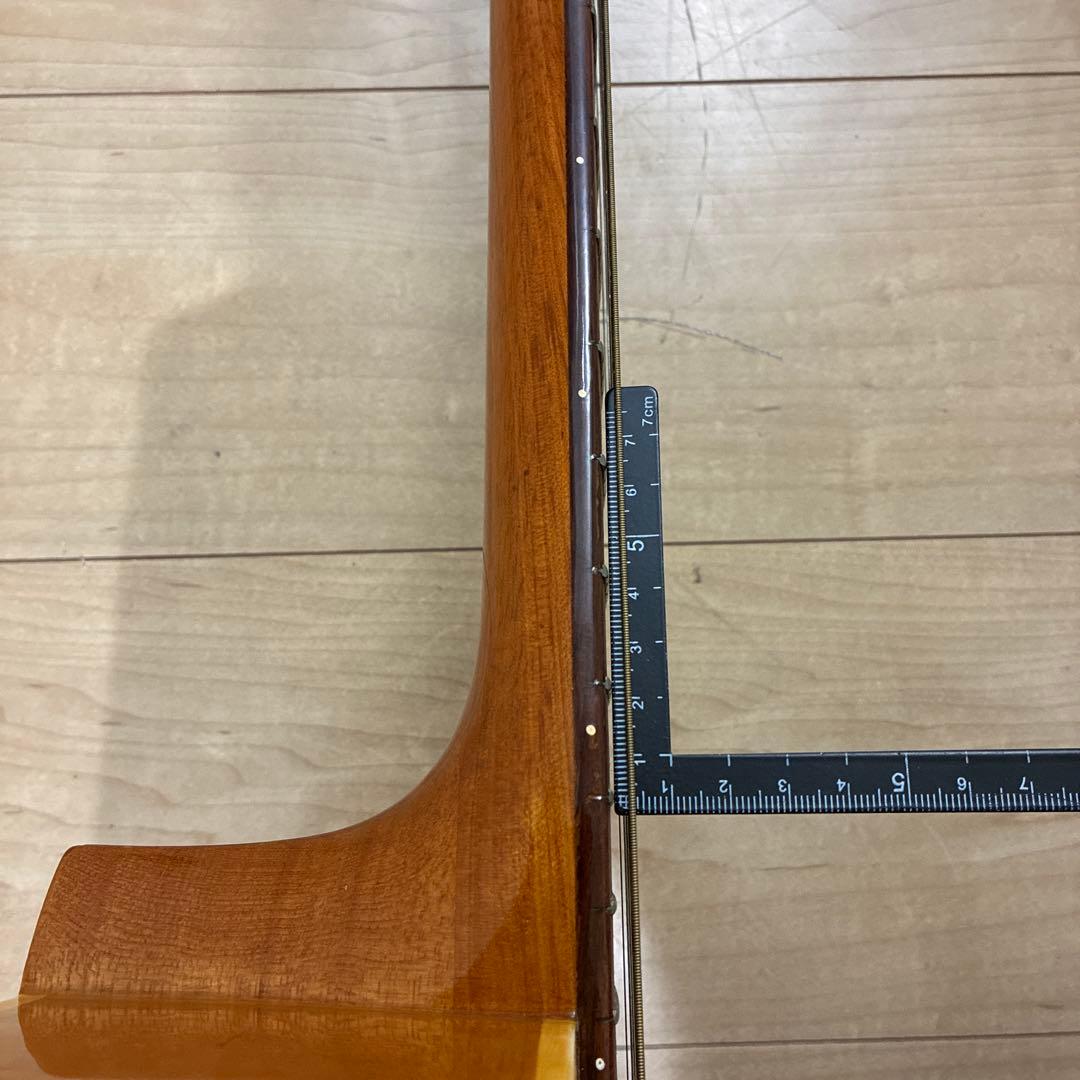 激レア　ZENON roje 全音　アコースティックギター　ハミングバードタイプ