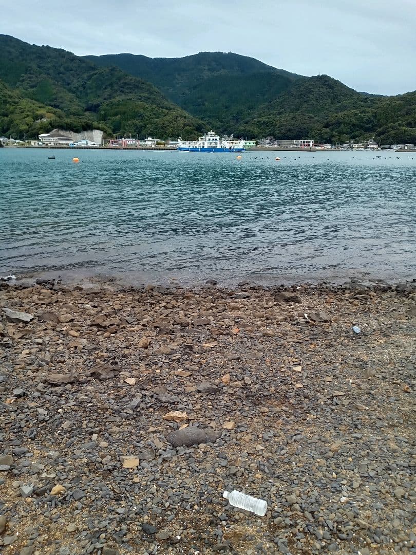 九州産　アンモナイト　ポリプチコセラス　希少