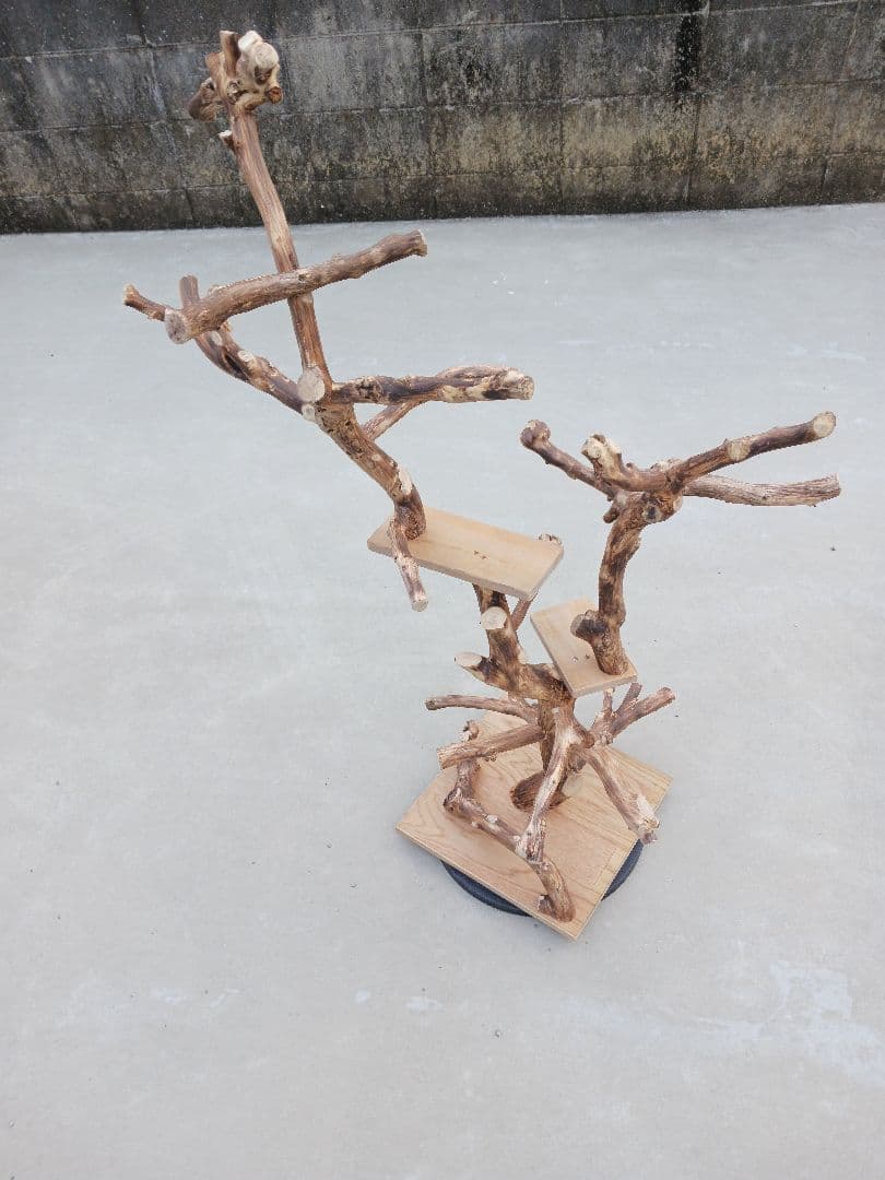 バードアスレチック バードアスレチックジム 止まり木、小鳥、流木(焼き入れ)