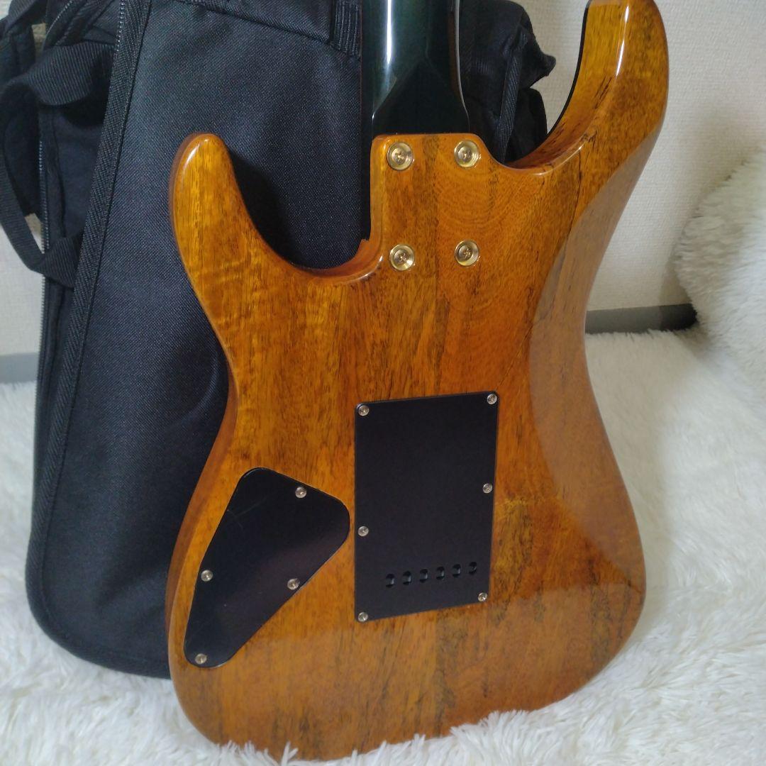 美品 ✨ Bacchus Genuine Quality 純正ソフトケース付き