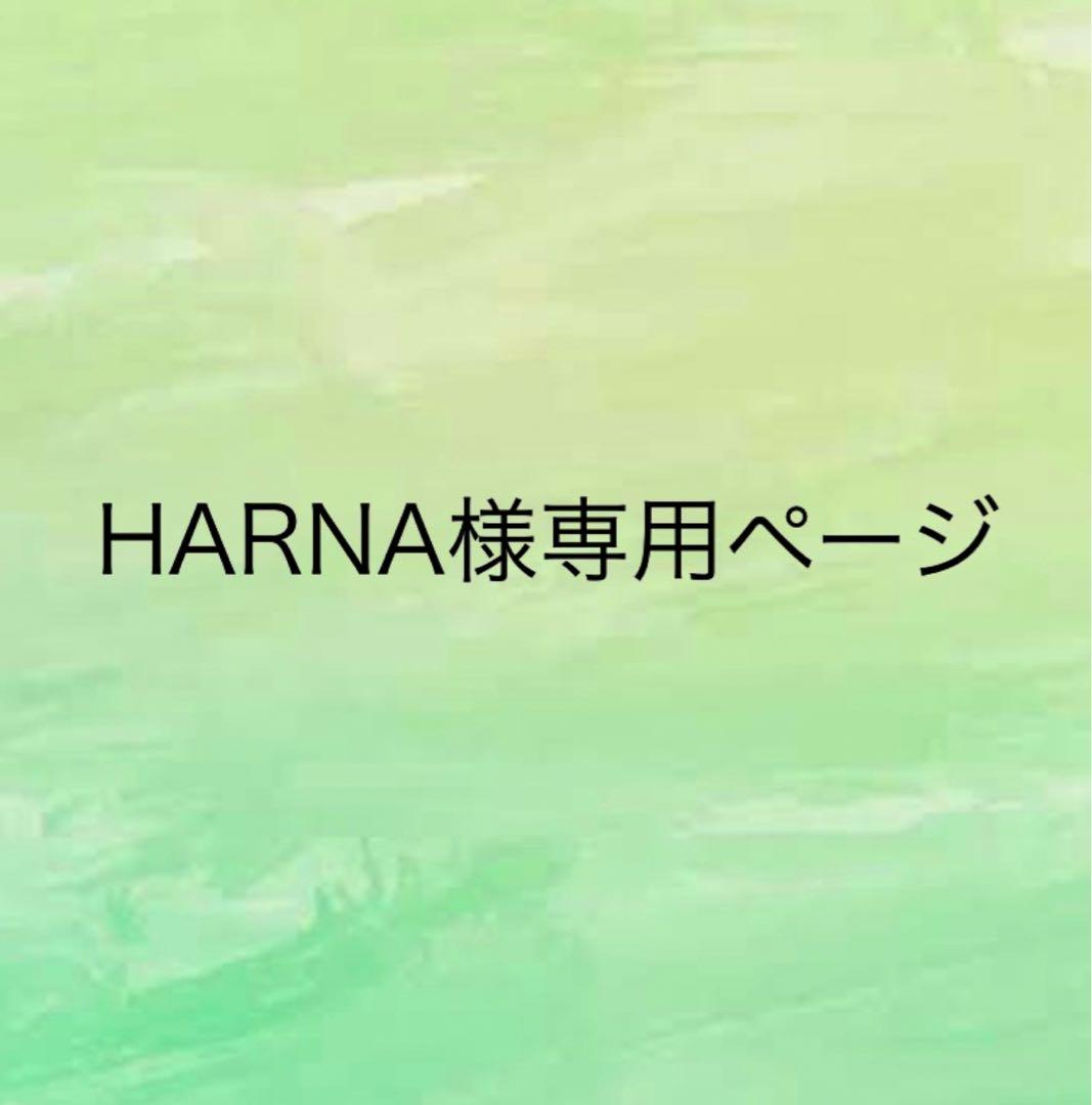 SSGBV フィギュア