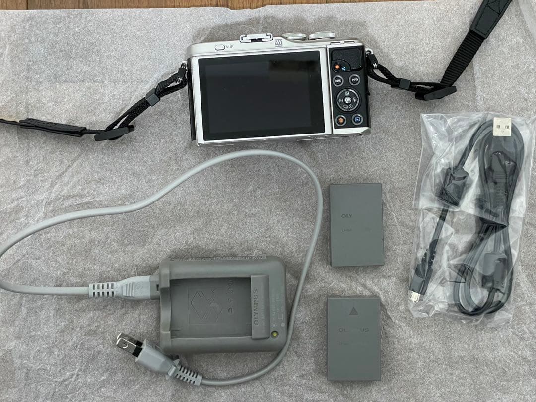 OLYMPUS PEN E-PL9 ダブルズームキット＋単焦点レンズ＋カバー等