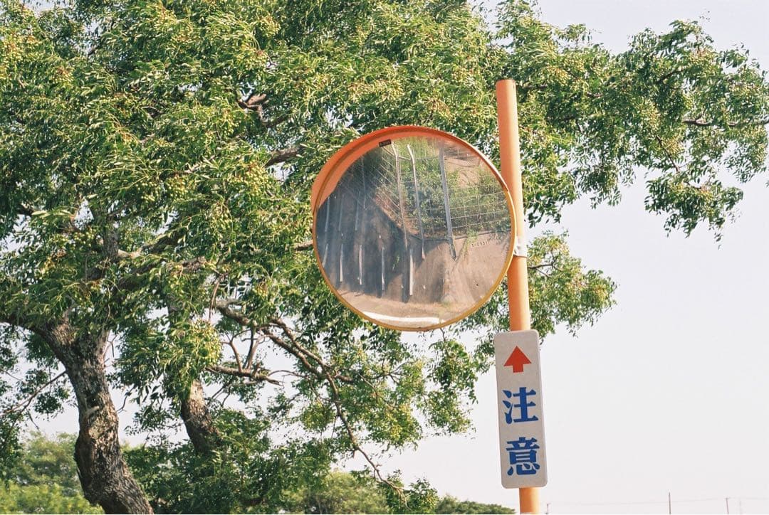 【整備品】Minolta XE 作例あり