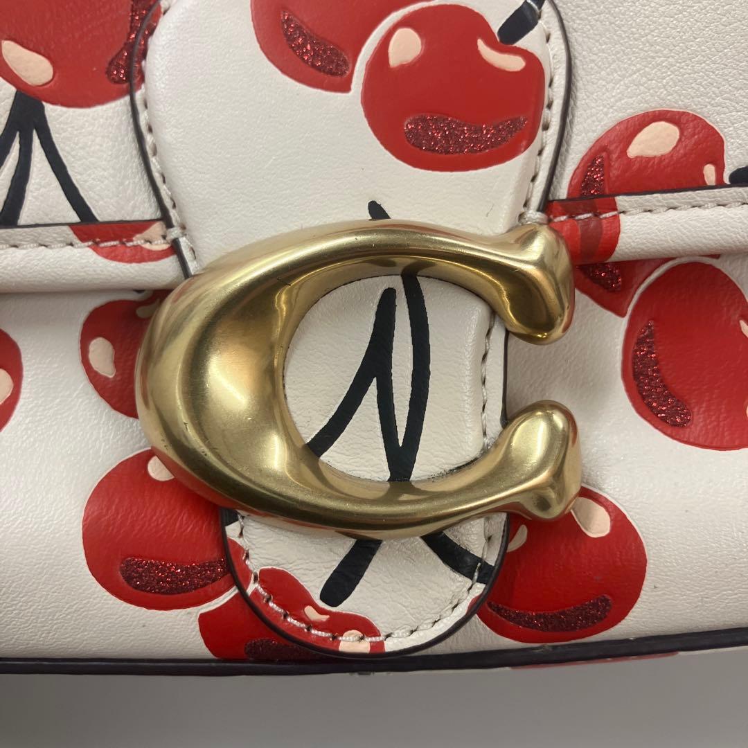 E1-1-01 COACH チェリー柄 ショルダーバッグ