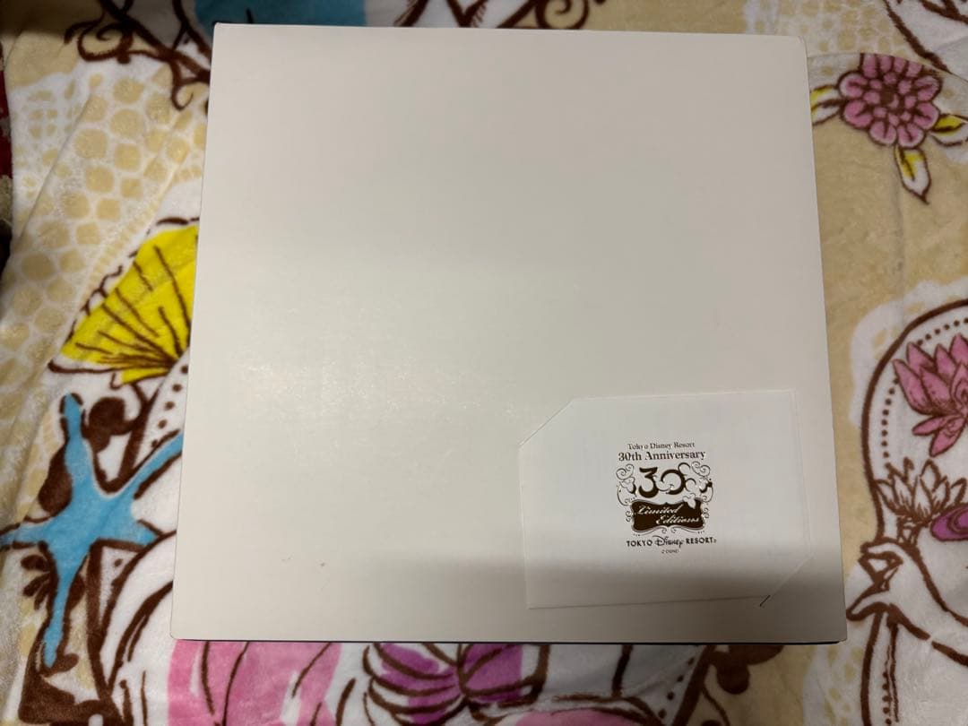 東京ディズニーリゾート30周年限定 ぬいばセット　ミッキー　ミニー　希少　レア