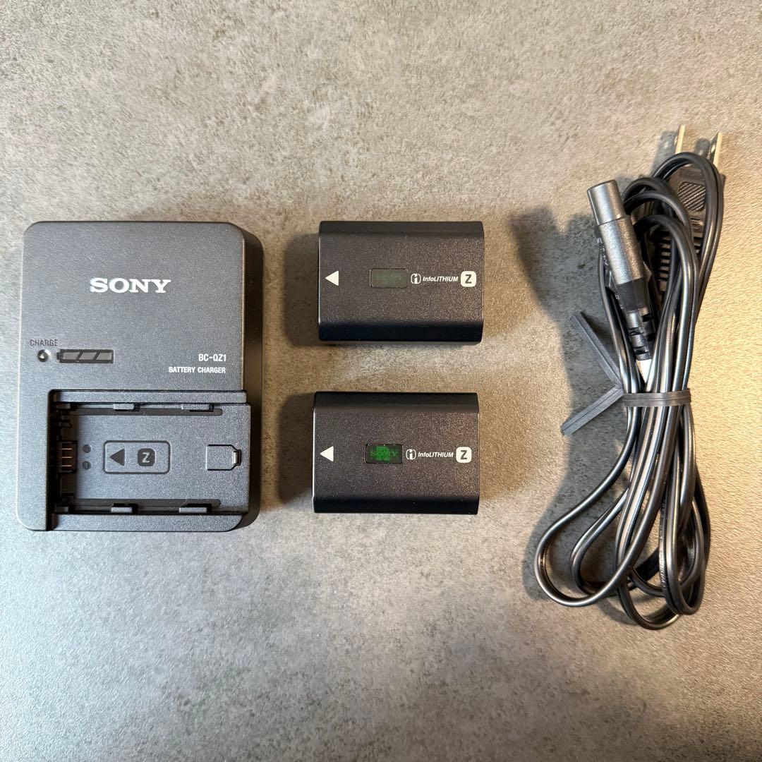 【ショット数93 枚】SONY α7IV ミラーレス一眼カメラ