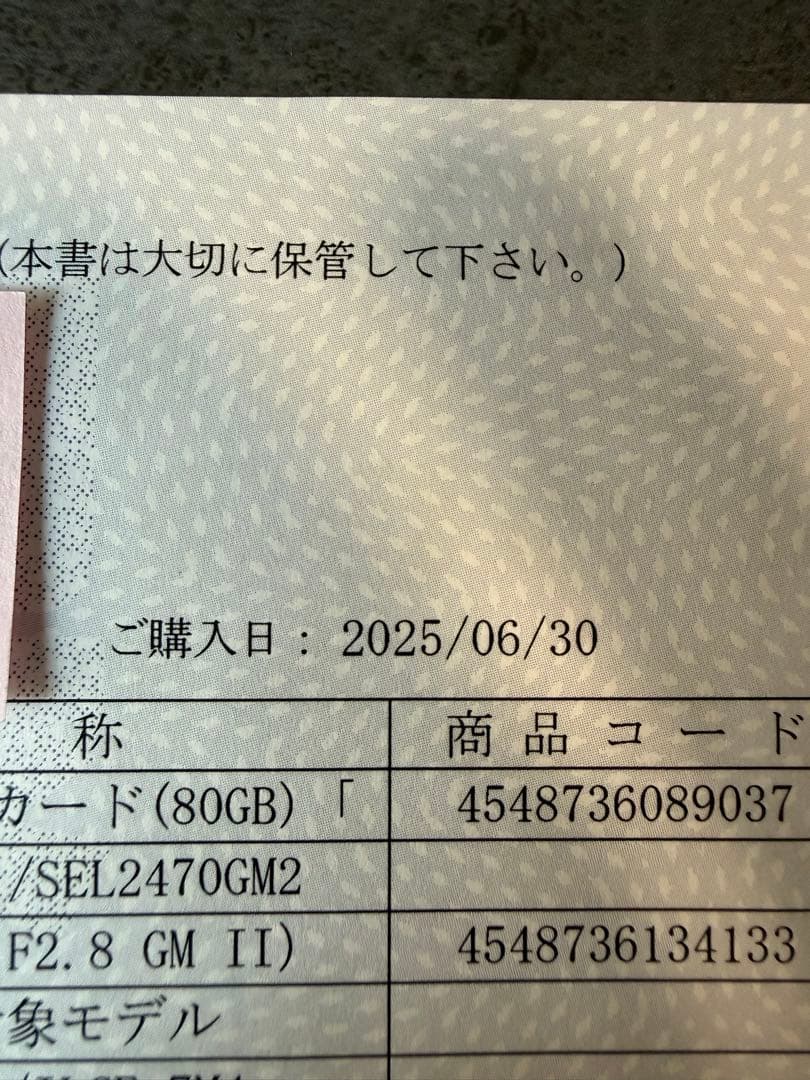 【ショット数93 枚】SONY α7IV ミラーレス一眼カメラ