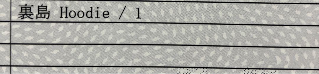 龍宮城　裏島　浦島 Hoodie パーカー　未使用