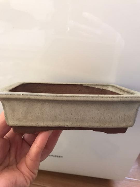 盆栽鉢　燿山③時代ミニ盆栽鉢燿山長方鉢2個セット山野草多肉植物サボテン植木鉢、