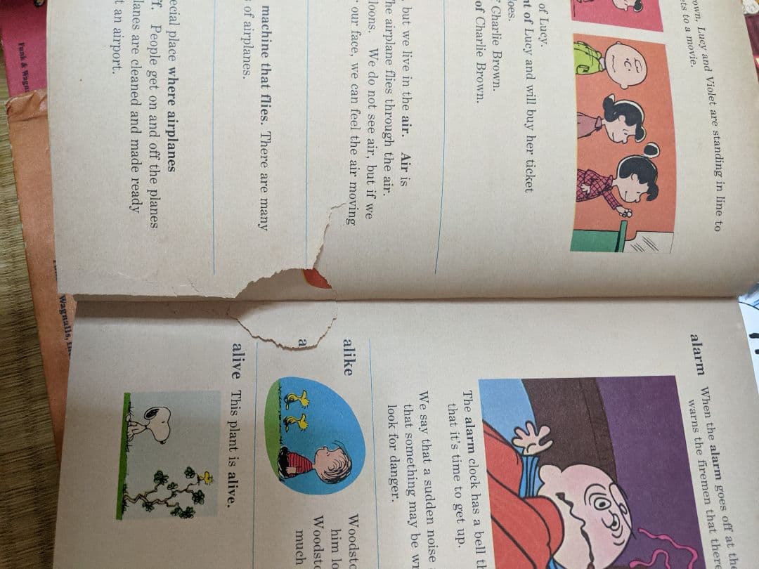 スヌーピー♡Peanut♡洋書♡洋本♡絵本セット