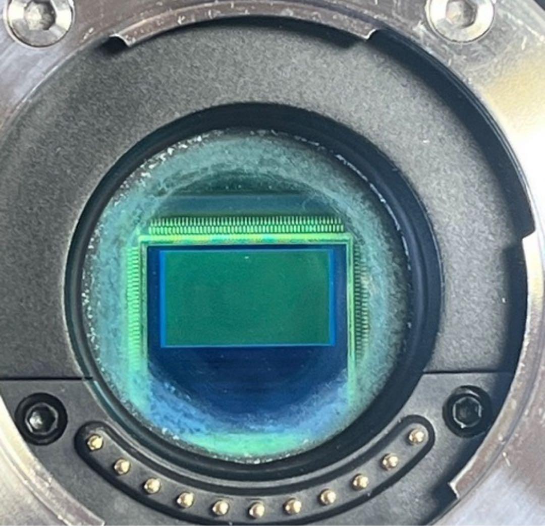 【専用】Black Magic Pocket とZacto USA