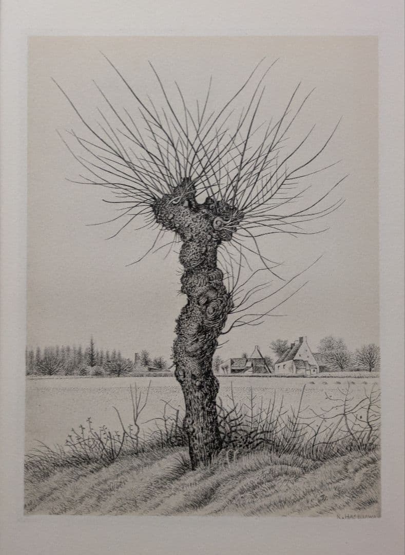追加出品 Ｔt長谷川潔500部限定作品　「一樹・ニレの木」美品