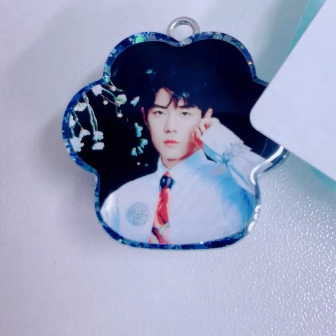 王一博 肖戦 Mサイズ 肉球 レジンキーホルダー32点セット❣️確認用0119