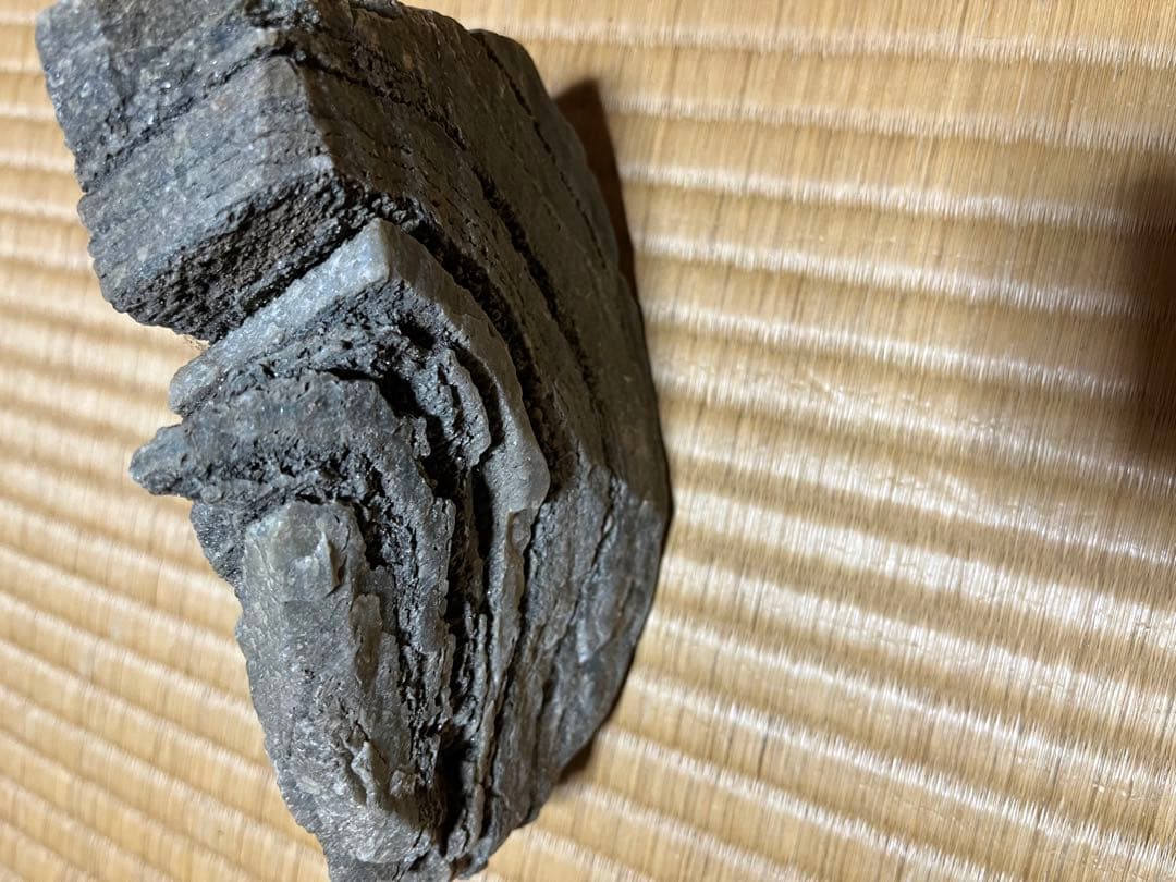 3点　化石　アンモナイト　等