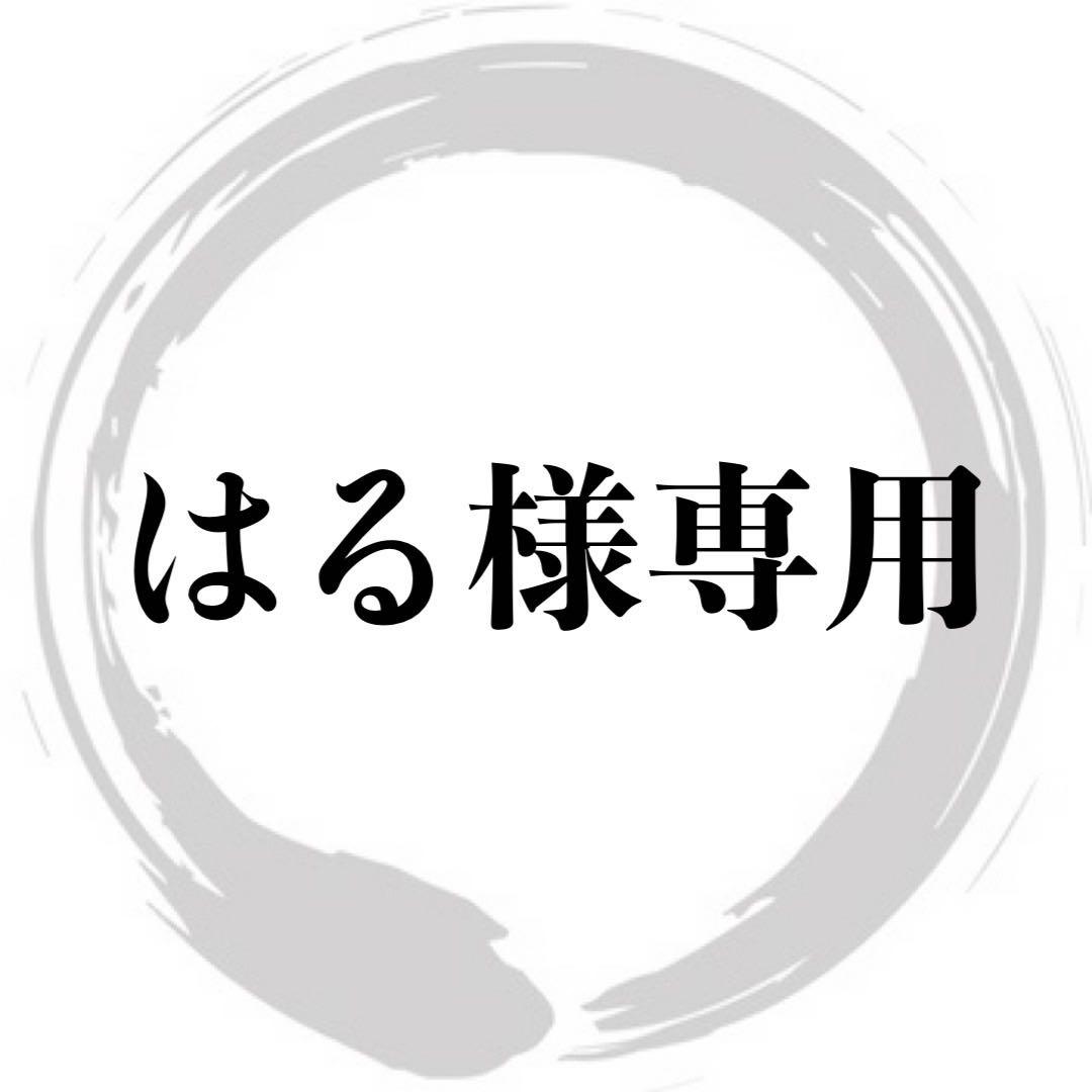 はる カスタムペイント 三つボタン