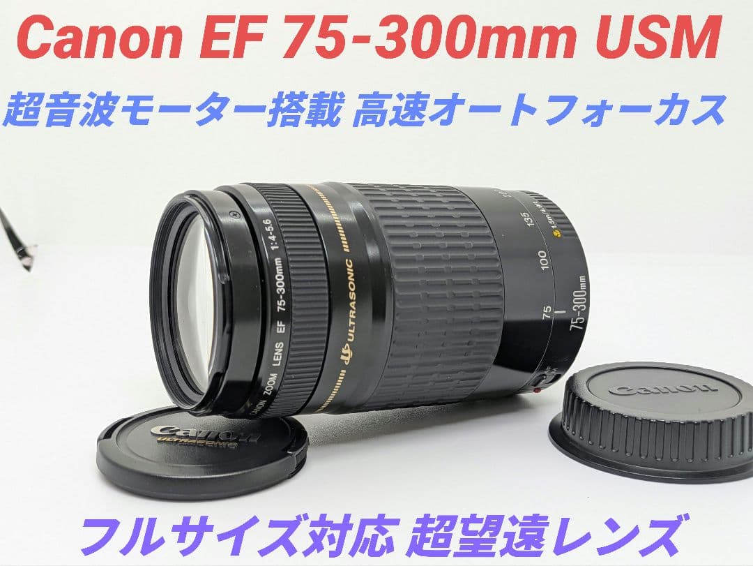 1月12日限定価格【超望遠レンズ】Canon EF 75-300mm USM