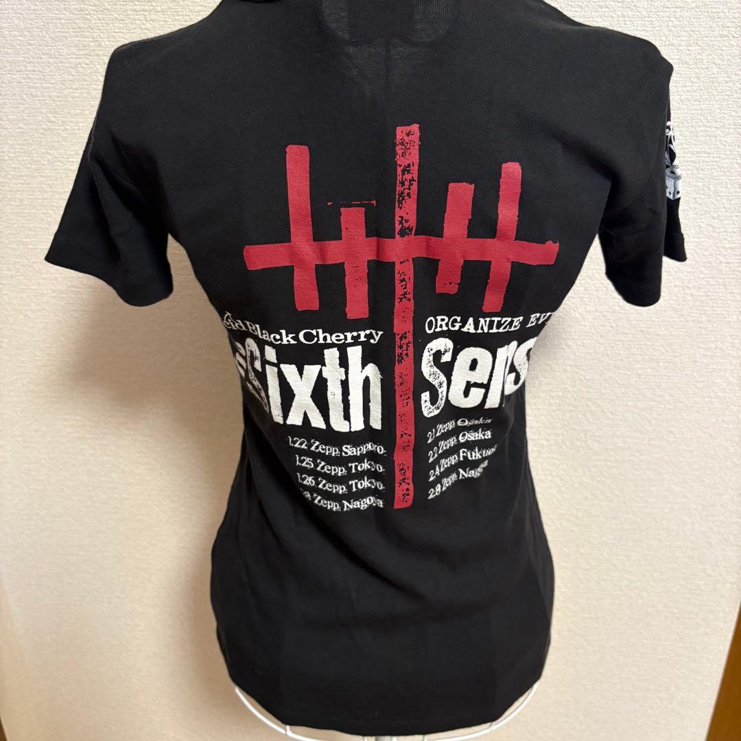 【激レア】Acid Black Cherry グッズ 【ばんび】