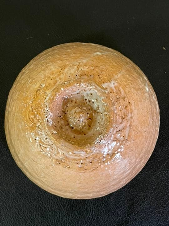 萩焼 味舌隆司 萩茶碗 銘　千年翠　大徳寺悦道　箱書き　共箱