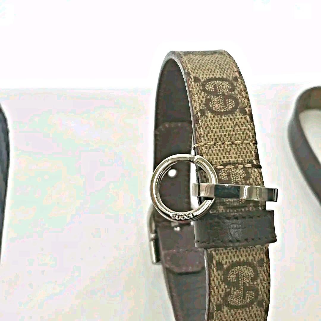 GUCCI グッチ　カラー&リード　首輪とリード