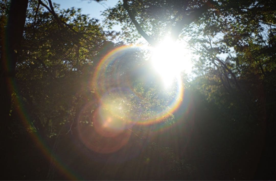 【美品】Super Takumar 55mm f1.8 前期型　m42マウント