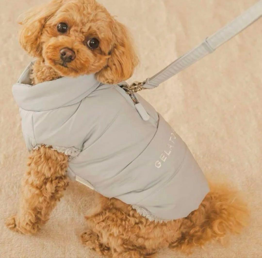 ジェラートピケ 中綿ベスト ブルーカラー　Mサイズ