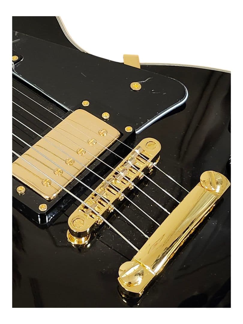 BUSKERS BLC300 レスポール　カスタム