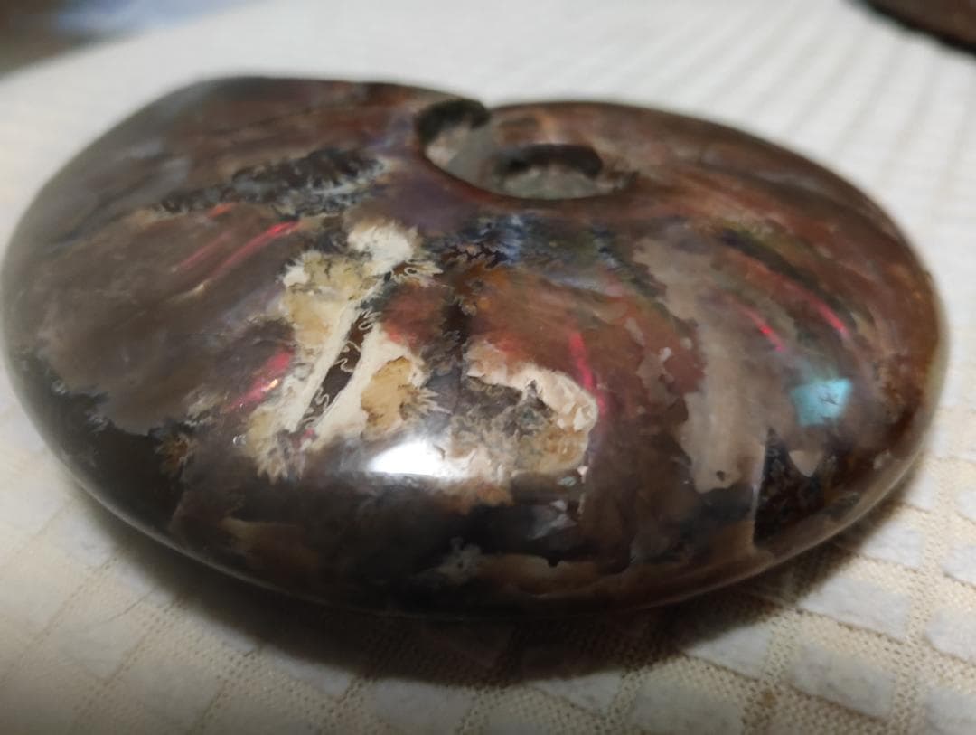 化石 アンモナイト オパール化 遊色 レインボー３点 9800an0814