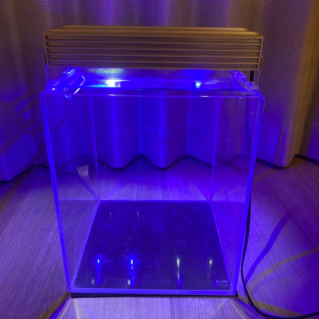 Aqua System LEDガラス水槽 25cm まとめ売り