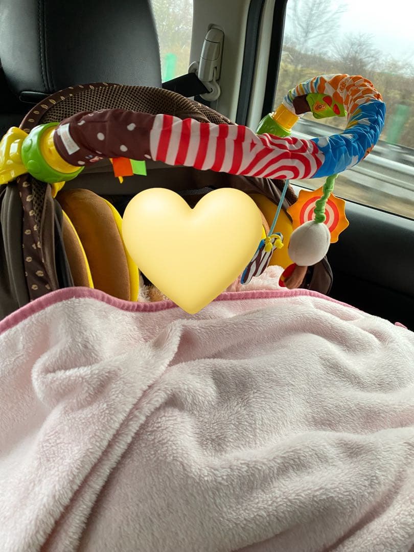 くまのプーさん　ターンシート　チャイルドシート＆アンパンマンどこでもメリー