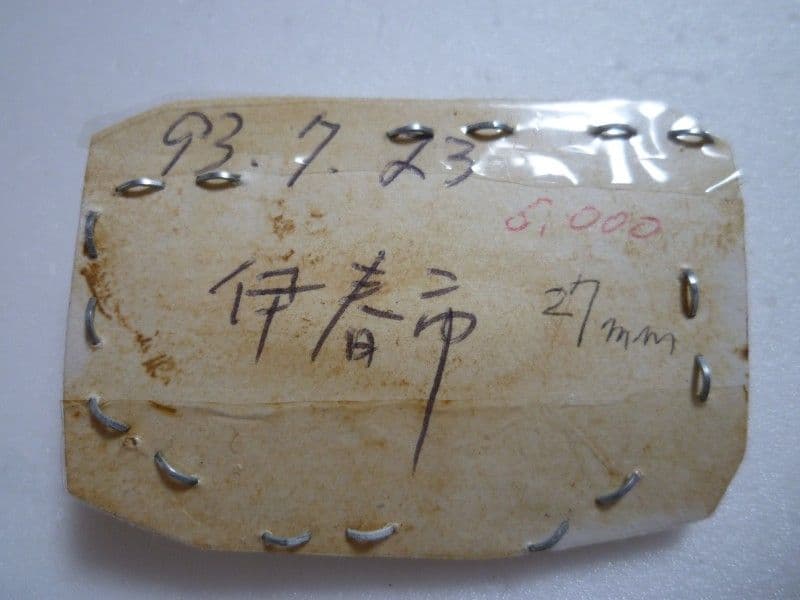 【外国産オサムシ標本】ウスリーキンオサムシ/黒龍江省.伊春産/33mm