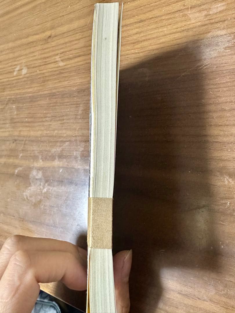 板垣退助 百円札 帯封 日本銀行券 旧紙幣 古紙幣　100円札100枚