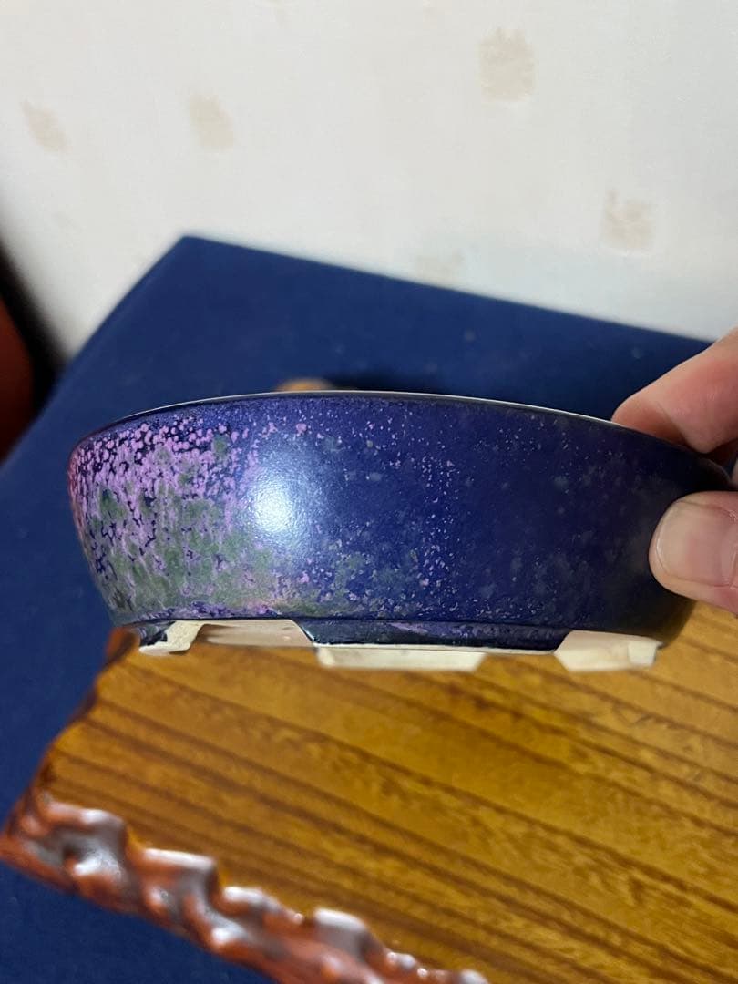 403 盆栽　盆栽鉢　植木鉢　和鉢　碧祥