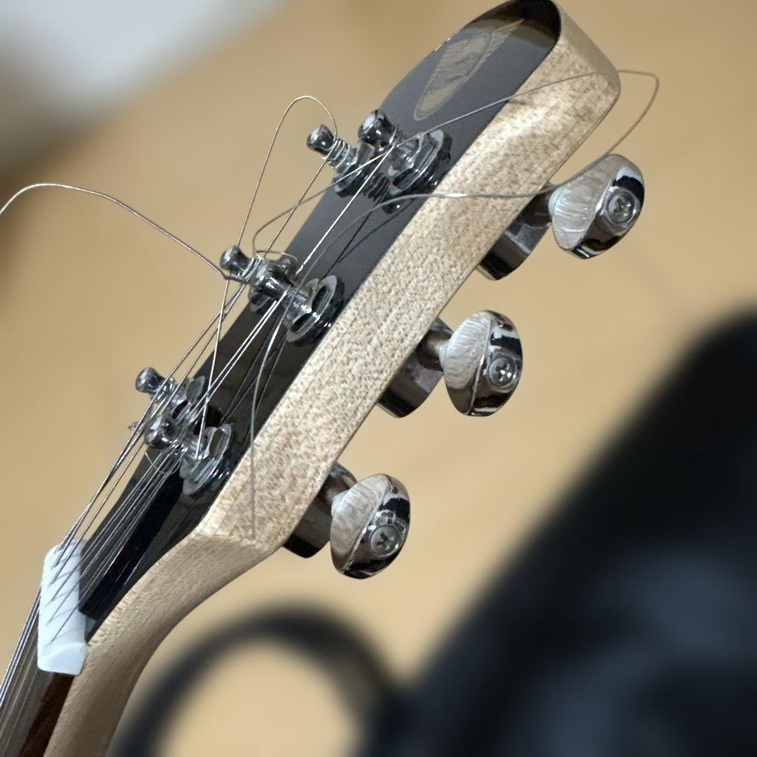 Pignose（ピグノーズ）PGG-200 アンプ内蔵ミニギター CAレッド