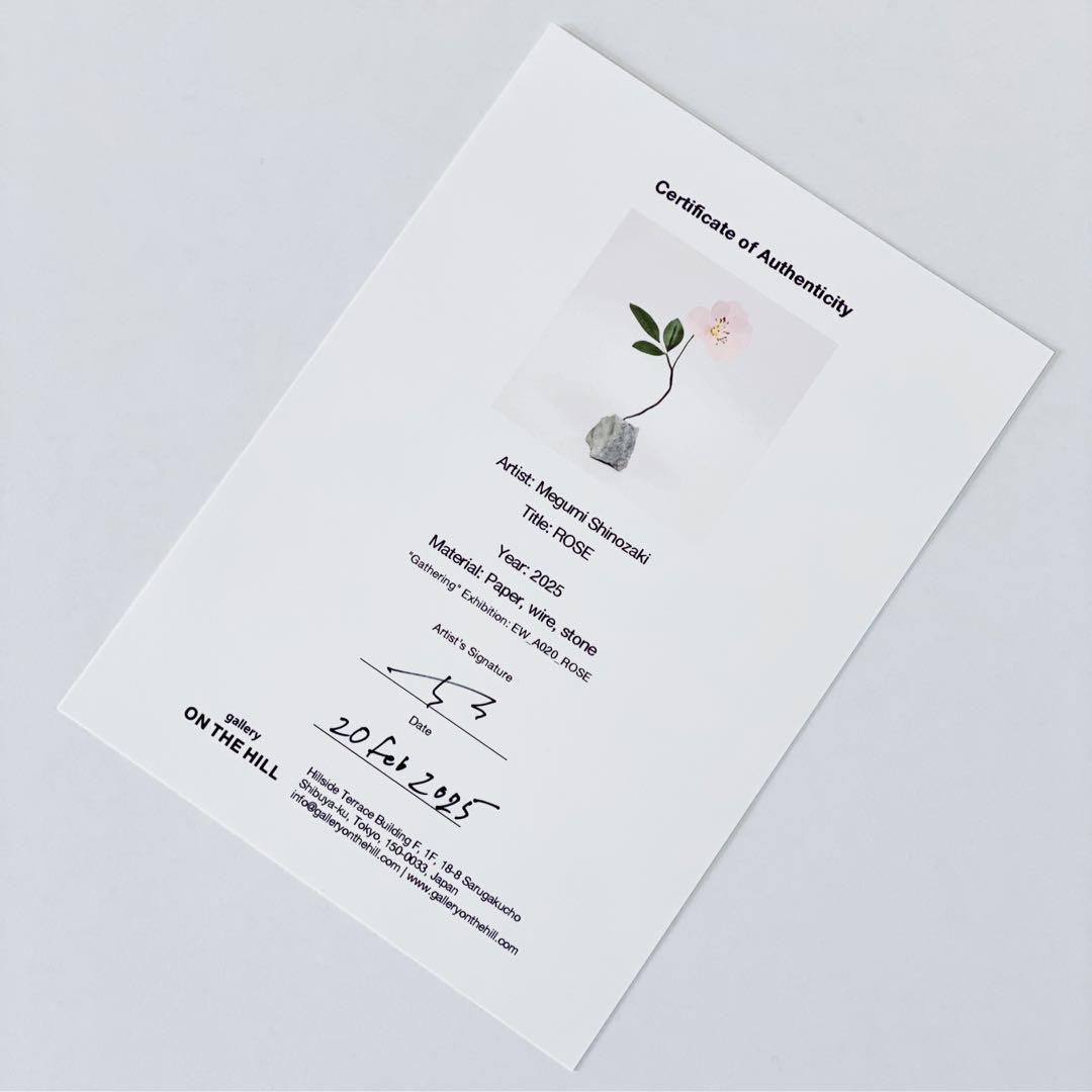 ★ eden works ペーパーエデン エデンワークス　edenworks