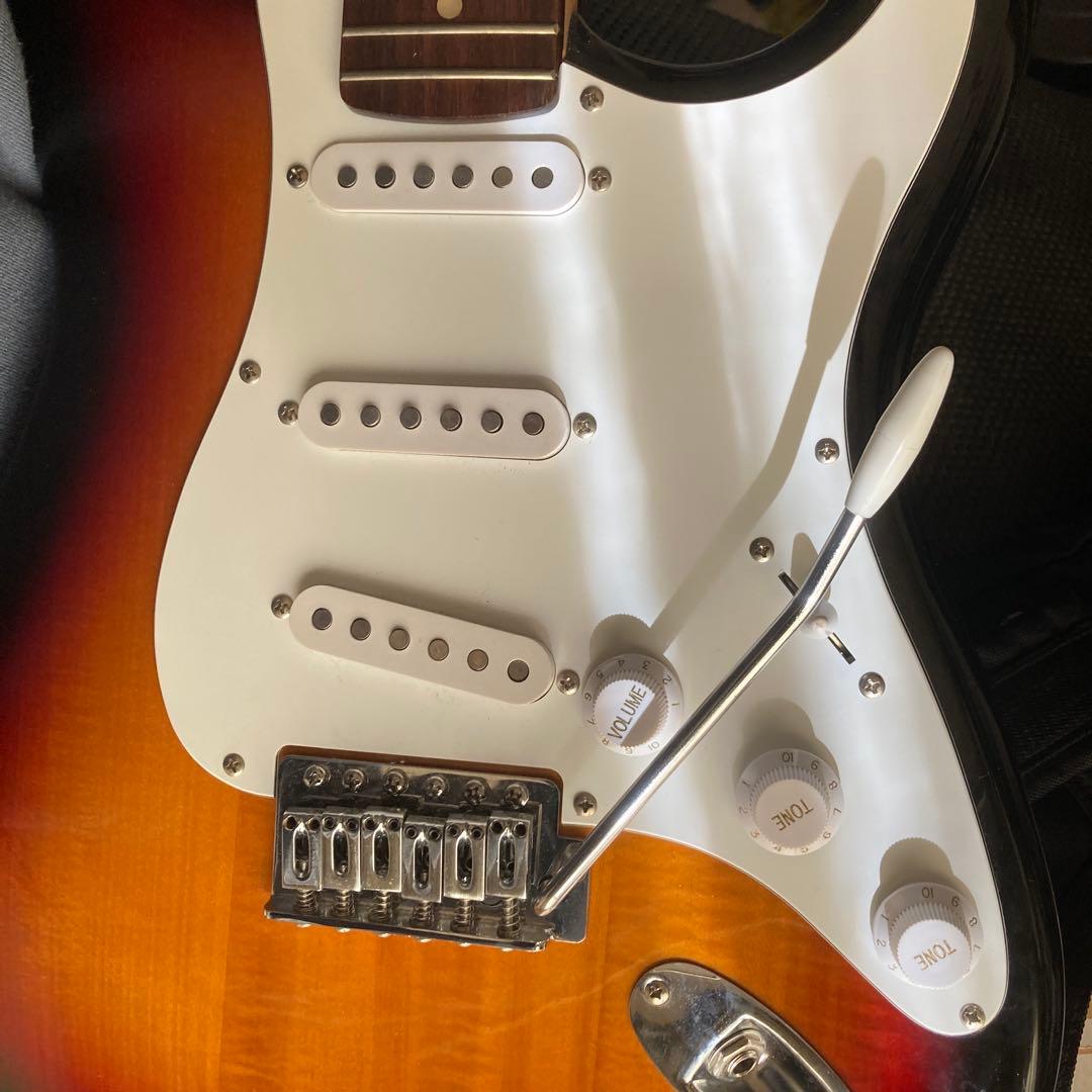 Fernandes エレキギター 純正ギグバッグ付き