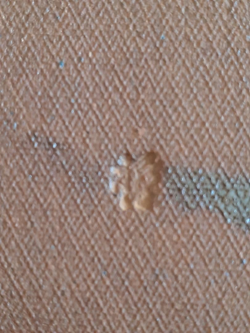 中尾哲彰　睦月銀河　子を背負う皿