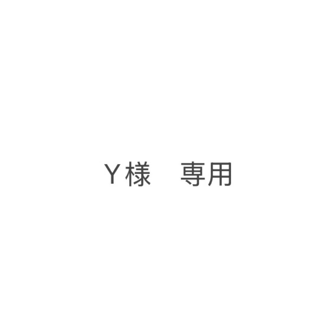 その他 Y