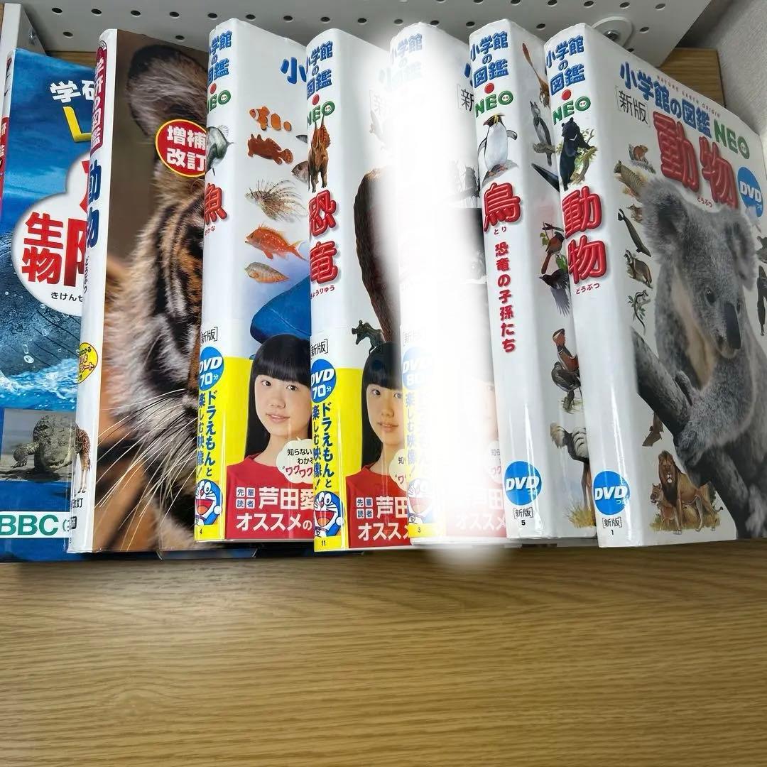 動物図鑑 NEO DVD付き