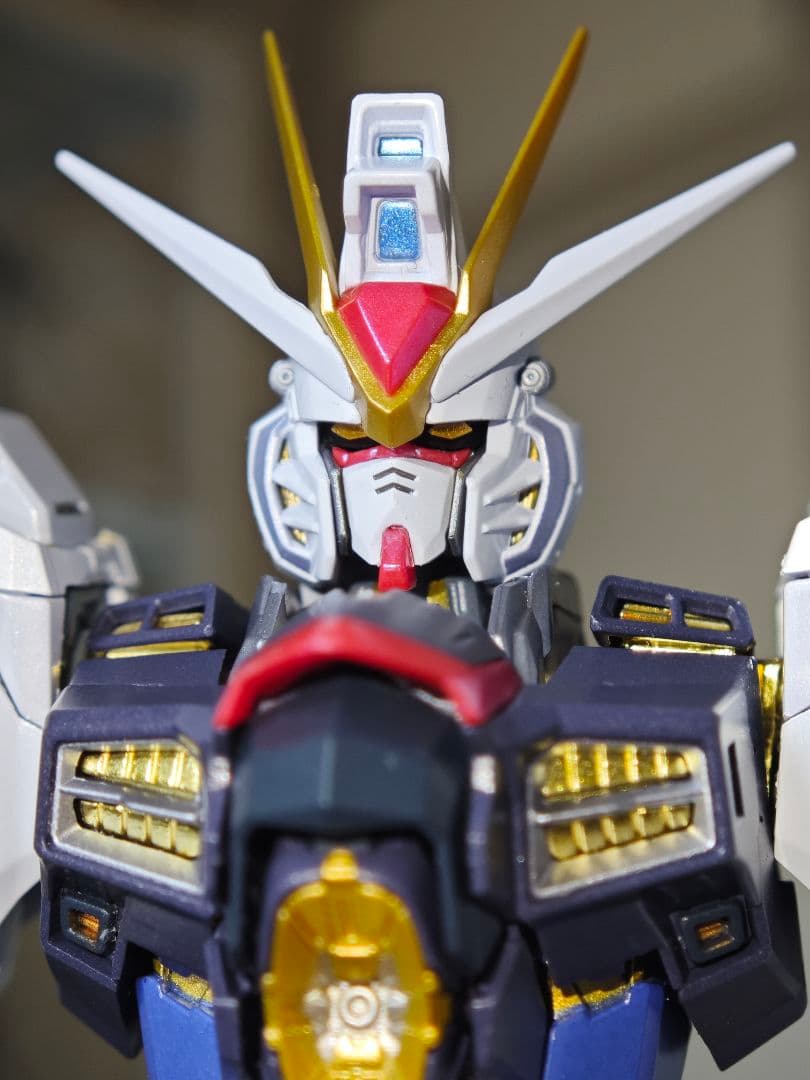 メタルビルド ストライクフリーダムガンダム メタルビルドFESTIVAL2024