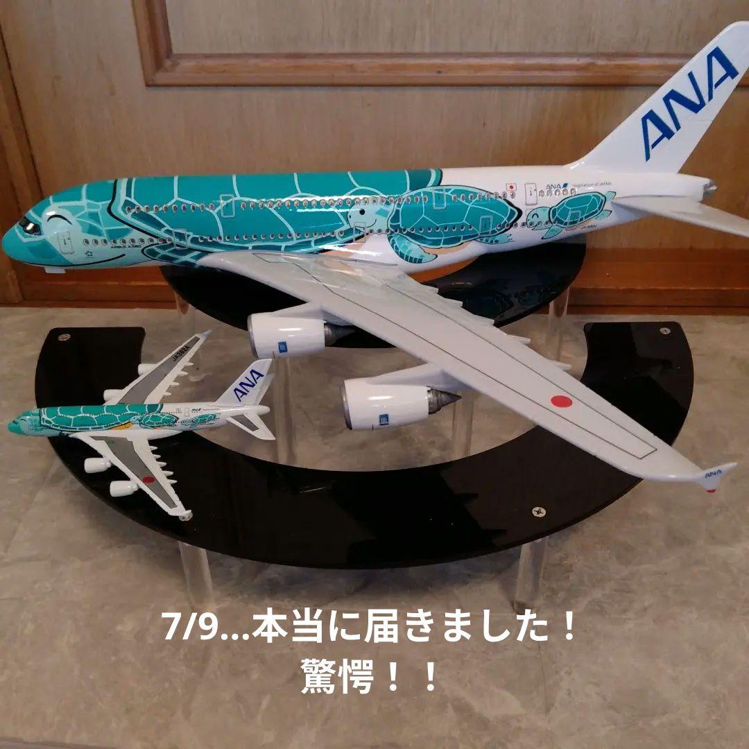 うなりさん確認用ANAフライングホヌ約50cm