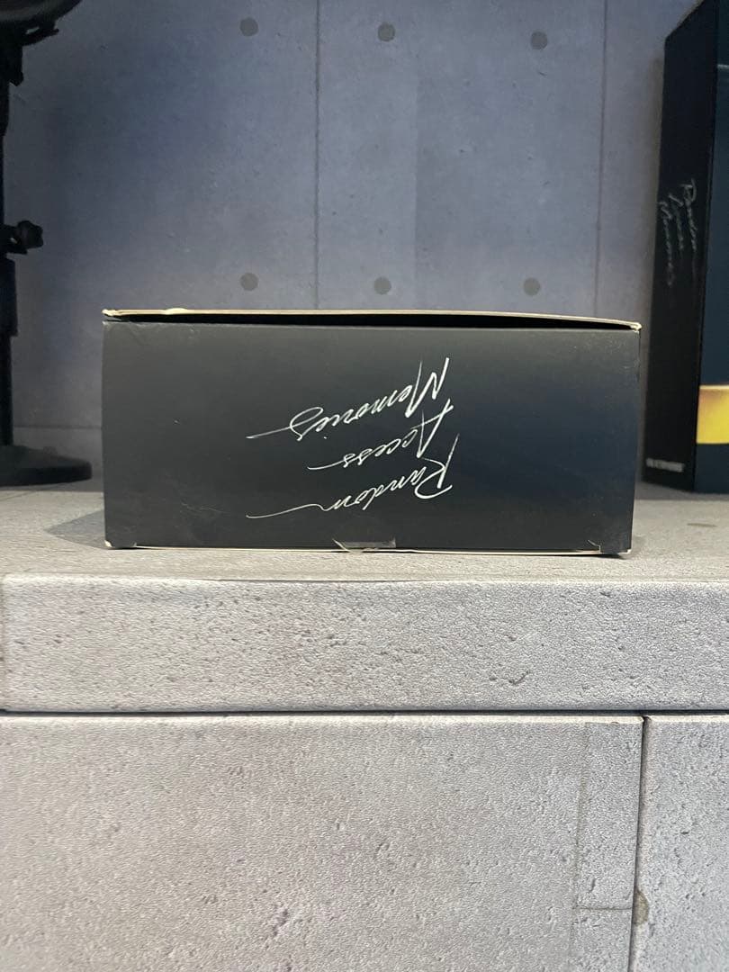 Daft Punk リアルアクションヒーローズ　フィギュア