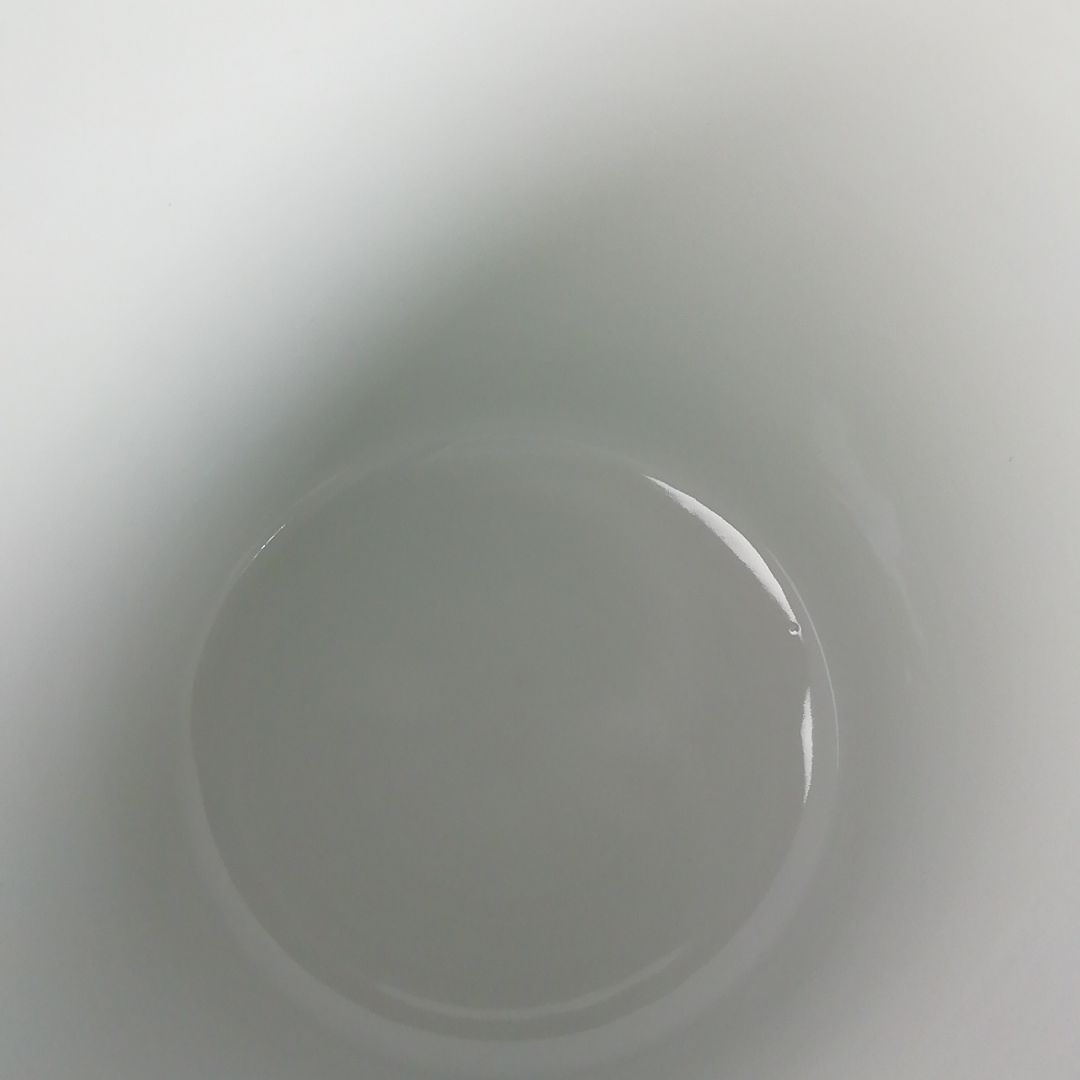 Ｔ７２０　水指　『黄交趾　棒の先』『膳所焼』『淡海ぜぜ陽炎園 造』　共箱　茶道具